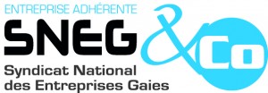 LOGO_SNEG_